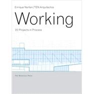 Working 20 Projects in Process