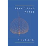 Practicing Peace 9781611801897
