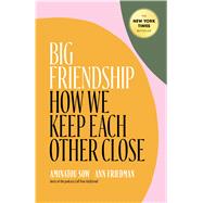 Big Friendship 9781982111908