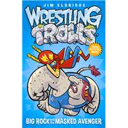 Big Rock and the Masked Avenger 9781471401930