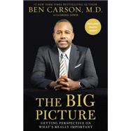 The Big Picture 9780310341956
