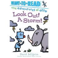 Look Out! a Storm! 9781534441965