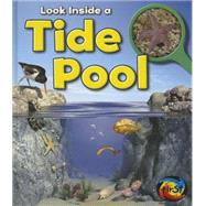 Tide Pool 9781432971977