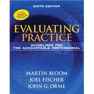 Evaluating Practice Guidelines for the Accountable Professional 9780205612017