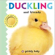 Duckling and Friends Touch and Feel 9780312522018