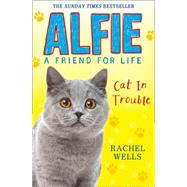 Alfie Cat in Trouble 9780008172084