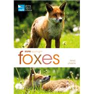 RSPB Spotlight: Foxes 9781472912091