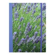 Lavender Blue Notebook 9781782492153