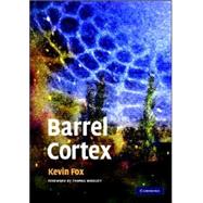 Barrel Cortex