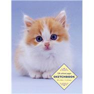 Sketchbook - Kitten 9780754832218