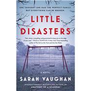 Little Disasters 9781501172229