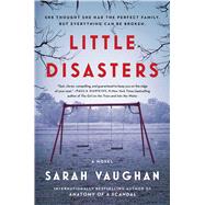 Little Disasters 9781501172236