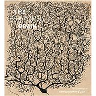 Beautiful Brain 9781419722271