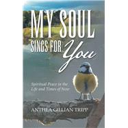 My Soul Sings for You 9781973672340
