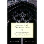 Aliens in the Promised Land: Why Minority Leadership Is Overlooked in White Christian Churches and Institutions 9781596382343