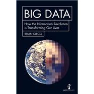 Big Data 9781785782343