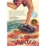 Just a Drop of Water 9781510712348
