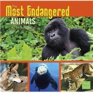 The Most Endangered Animals in the World 9781491422373