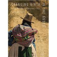 Changing Birth in the Andes 9780826522375