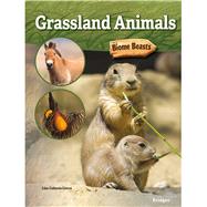 Grassland Animals 9781731612397