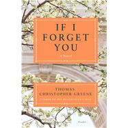 If I Forget You A Novel 9781250112415