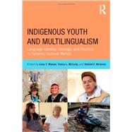 Indigenous Youth and Multilingualism: Language Identity, Ideology, and Practice in Dynamic Cultural Worlds 9780415522427