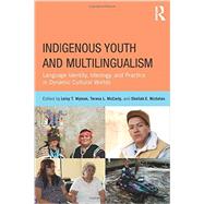Indigenous Youth and Multilingualism: Language Identity, Ideology, and Practice in Dynamic Cultural Worlds 9780415522434