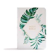 Holy Bible 9781087702452