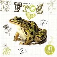 Life Cycle of a Frog 9781910512463