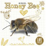 Life Cycle of a Honey Bee 9781910512470