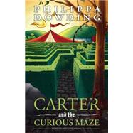 Carter and the Curious Maze 9781459732490