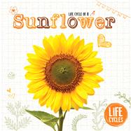 Life Cycle of a Sunflower 9781910512494