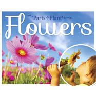 Flowers 9781910512517