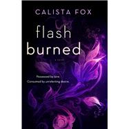 Flash Burned A Novel 9781250072528