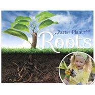 Roots 9781910512531