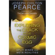 Exploring the Crack in the Cosmic Egg 9781620552544