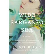 Wide Sargasso Sea 9780393352566