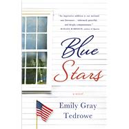 Blue Stars A Novel 9781250052575