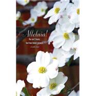 He Isn't Here Dogwood Easter Bulletin 9781501802584