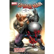 Marvel Universe Spider-Man 9780785152590