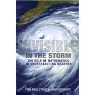 Invisible in the Storm 9780691152721