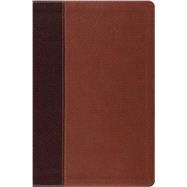 Holy Bible 9781433532733