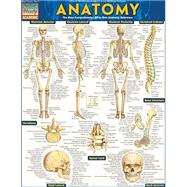 Anatomy 9781423222781