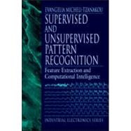 Supervised and Unsupervised Pattern Recognition: Feature Extraction and Computational Intelligence
