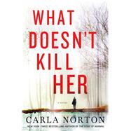 What Doesn't Kill Her A Novel 9781250032805