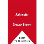 Rainwater 9781439192924