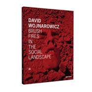 Brush Fires in the Social Landscape 9781597112949