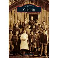 Conifer