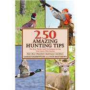 250 Amazing Hunting Tips 9781632203038