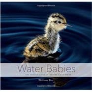 Water Babies 9781581573053